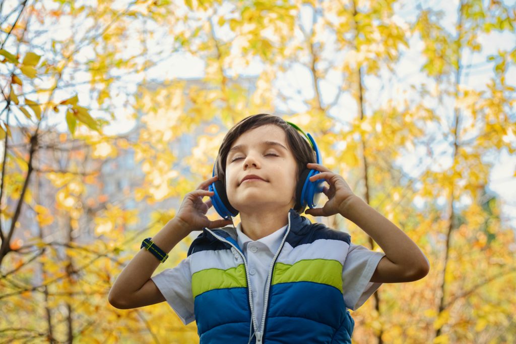 The Role of Music and Arts in Digital Content Creation Among Roma Youth